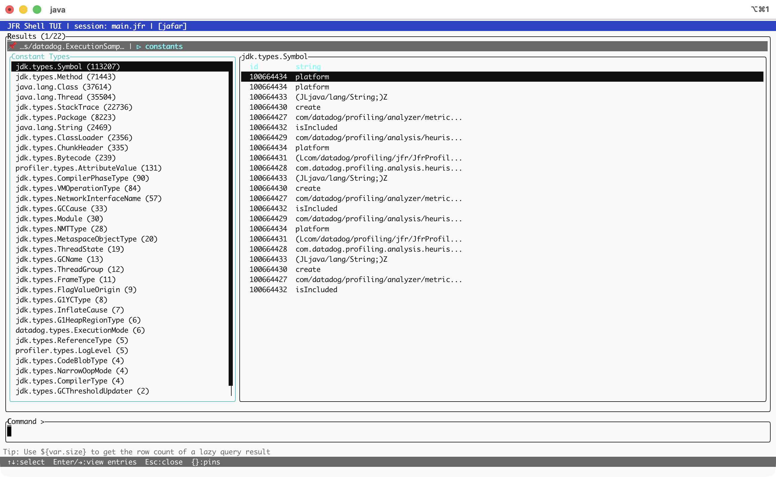 Constant pool browser